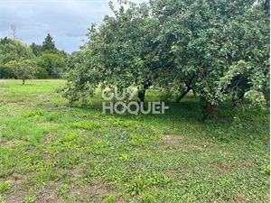 terrain à la vente -   80200  PERONNE, surface 712 m2 vente terrain - APR681256